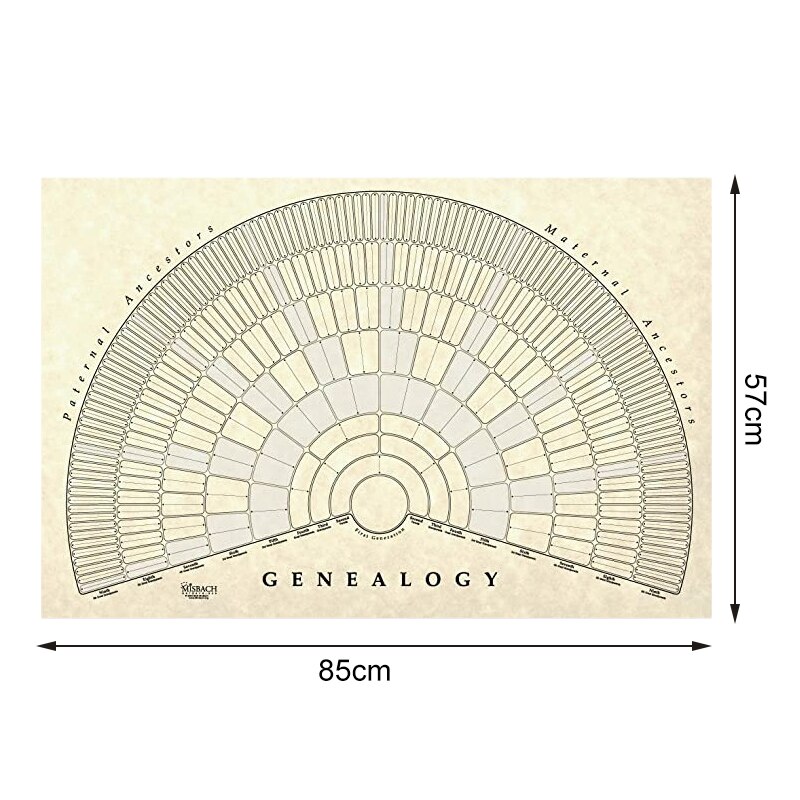 Family Tree Chart To Fill In 5/6/7 Generation Genealogy Poster Blank Fillable Ancestry Chart TN99: h