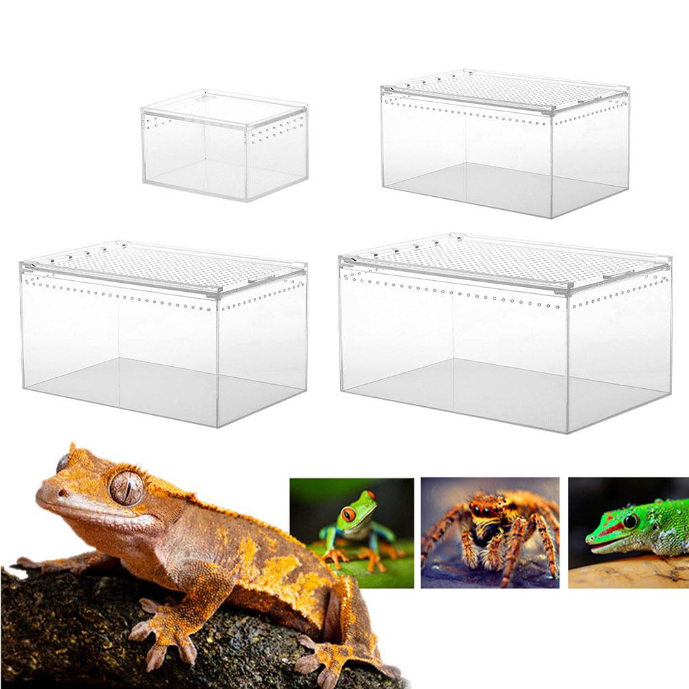 Reptile Breeding Box Clear Acrylic Reptile Feeding Box Multipurpose Terrarium For Insect Tarantulas Amphibians Caterpillars Snai