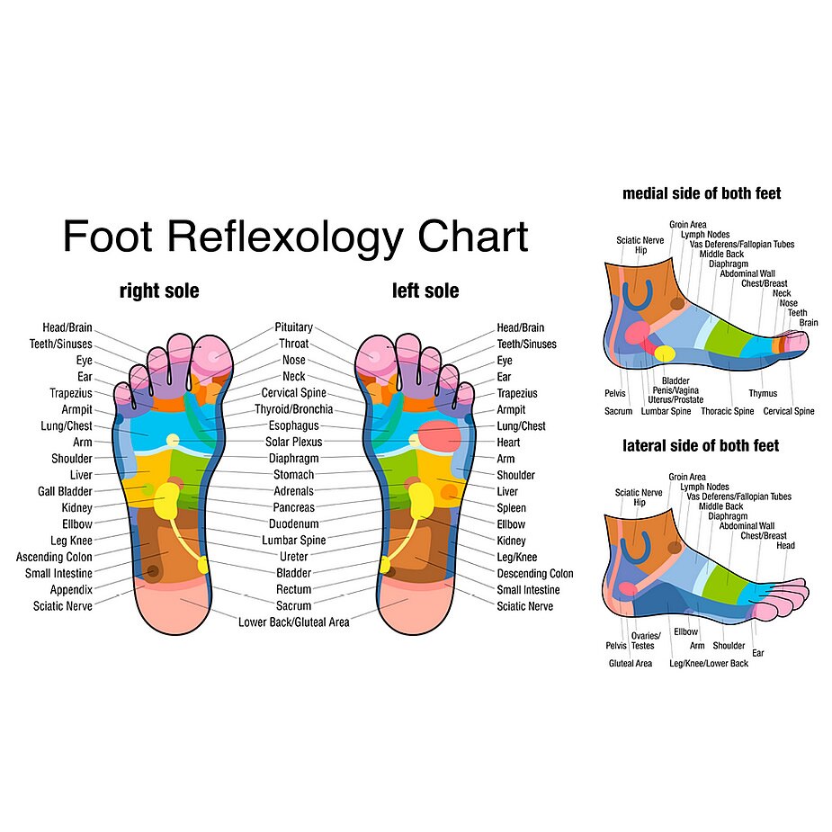 TheraFlow Large Dual Foot Massager Roller - Plantar Fasciitis, Heel, Arch Pain Relief -Enhanced Model - Laminated Foot Chart
