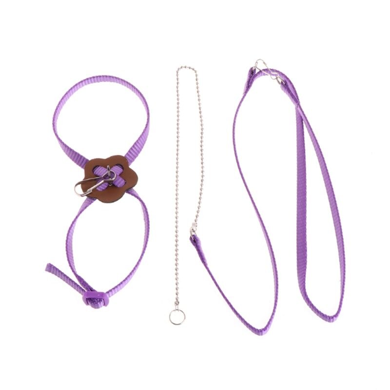 Laisse de harnais d'oiseau de perroquet pour animaux de compagnie corde d'entraînement réglable extérieure sangle de Traction Anti-vol bande souple Portable directe