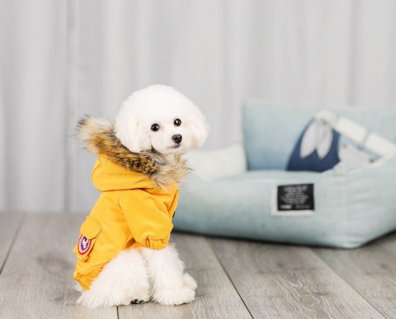 Pet Dog Warm Winter Coat Chihuahua Pug Dog Clothes For Small Medium Dogs Schnauzer Pet Puppy Coat Down Jacket Clothing: Yellow / XXL