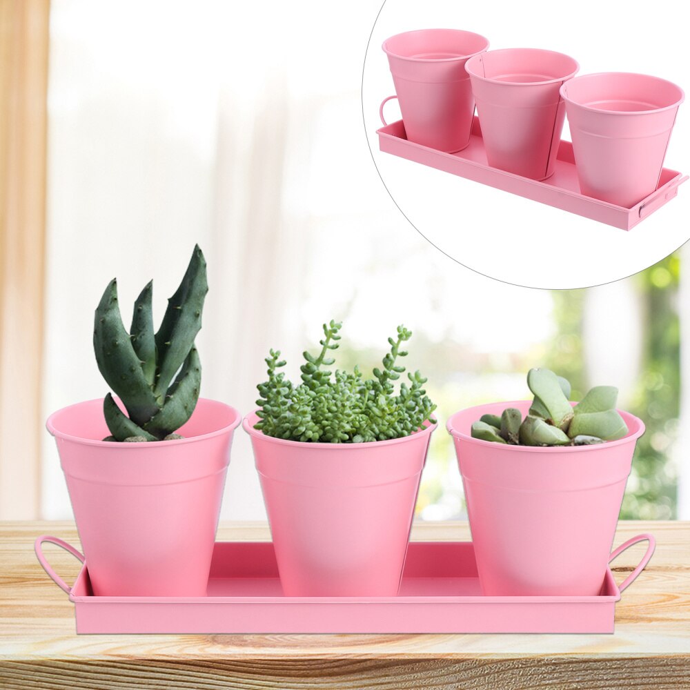 3pcs Garden Planters Flower Pot with 1pc Tray Herbs Succulents Utensil Holder: Pink