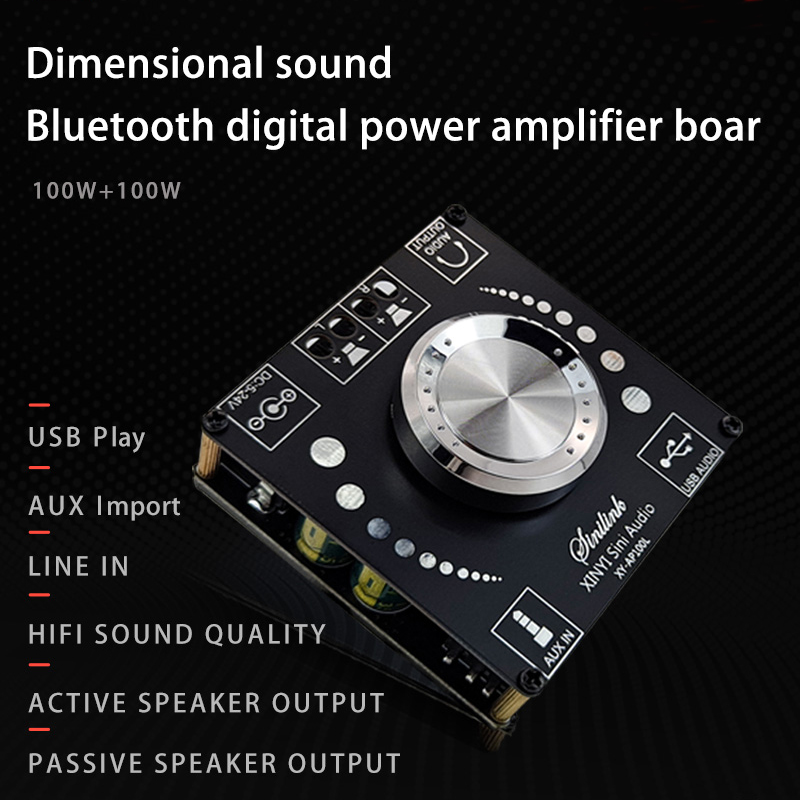 100W+100W Bluetooth 5.0 Stereo Amplifier Board AUX USB Sound Card Digital Power Amp Amplificador DC 12V 24V AP100L