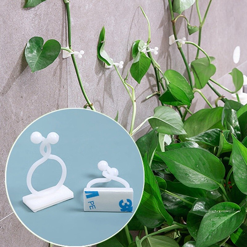 Planta Parede de Escalada Clipe Parede Vinha Fixação Na Parede Gancho Pegajoso Titular 10 pçs/lote!! Grampo invisível da braçadeira do rattan da parede