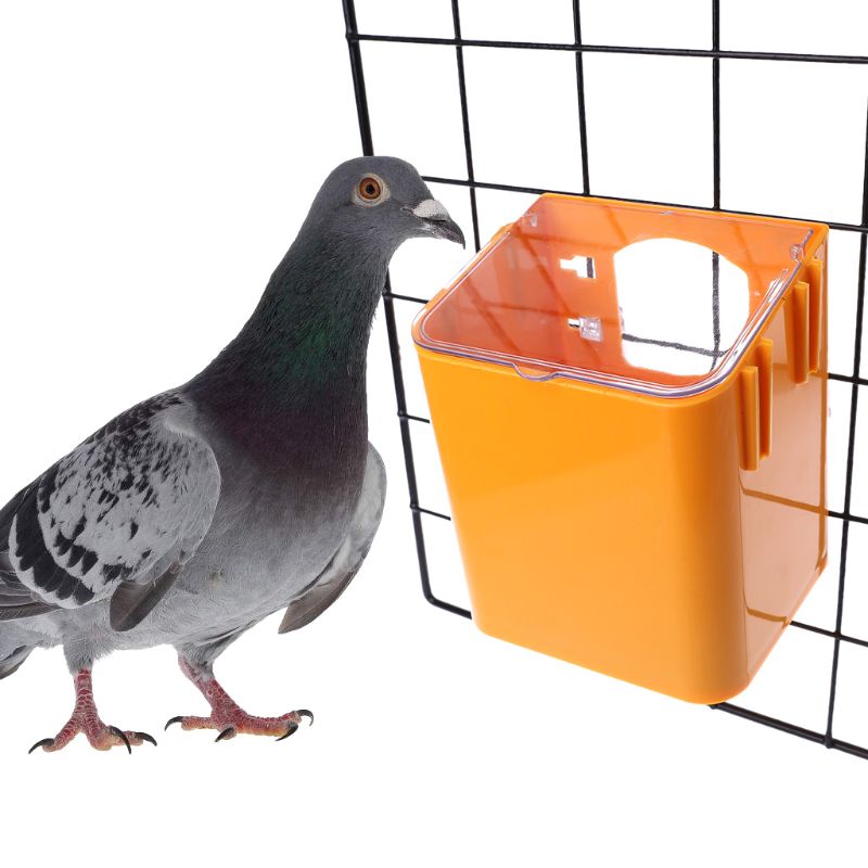 Due foder vand fodring plast mad dispenser kæledyr fugle papegøje beholder forsyninger dustptoof