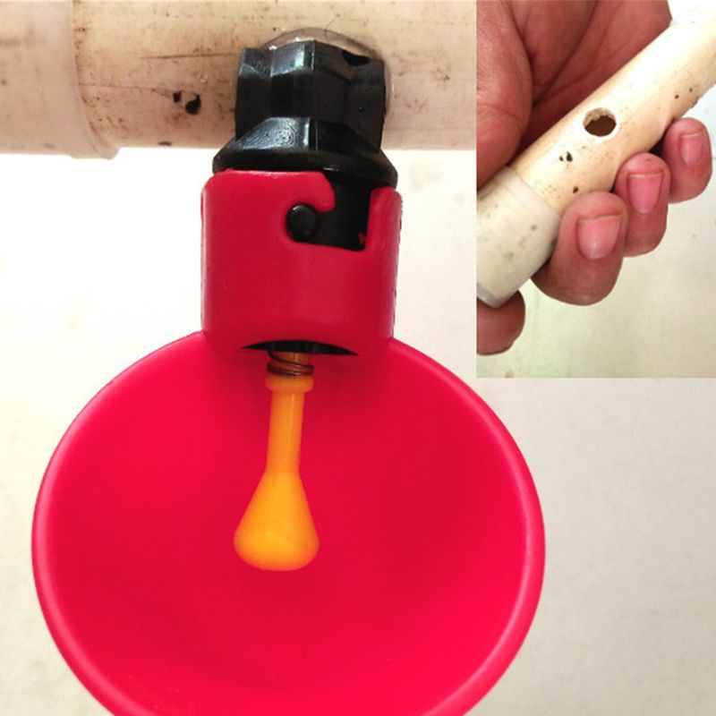 50pcs Automatic Chicken Waterer Cups,Plastic Backyards Chicken Water Feeder,Poultry Water Drinking Cups Bowls,Float Style Feed