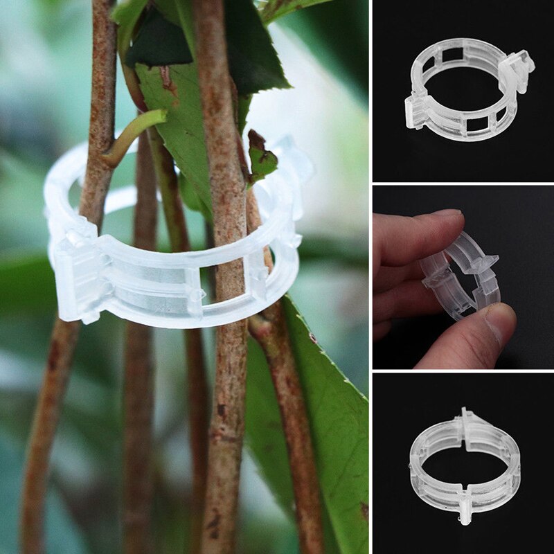 50/100 25mm herbruikbare klemmen, plastic plantensteunclips voor hangende planten, wijnranken, tuinkas, groenten, tomatenclips
