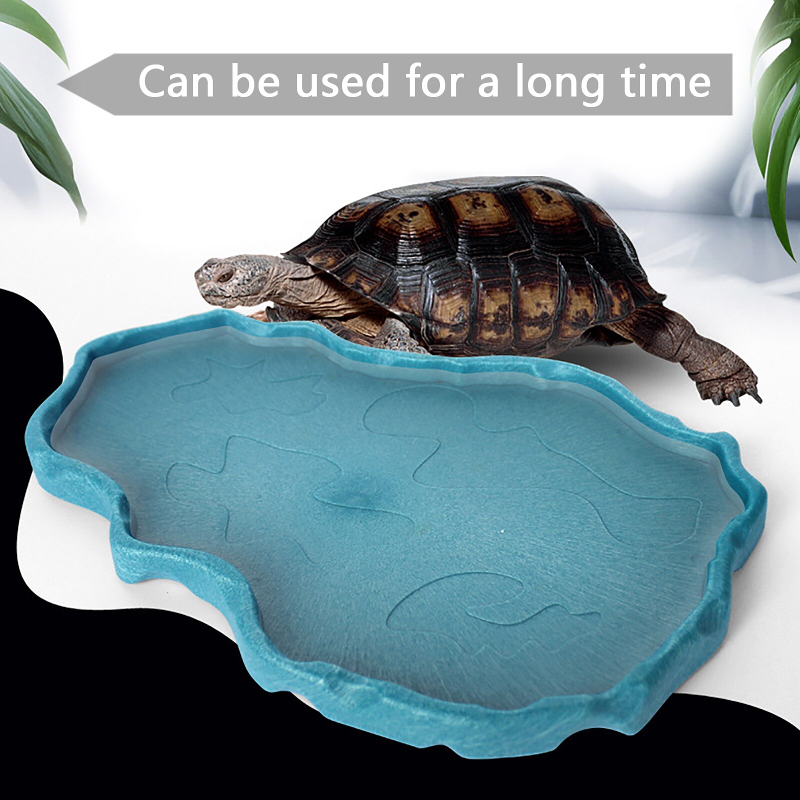 Pet Feeder Feeding Dish Lizards Gecko Reptile Bowl Basin Food Container Turtles Water Dispenser Drinking Supplies