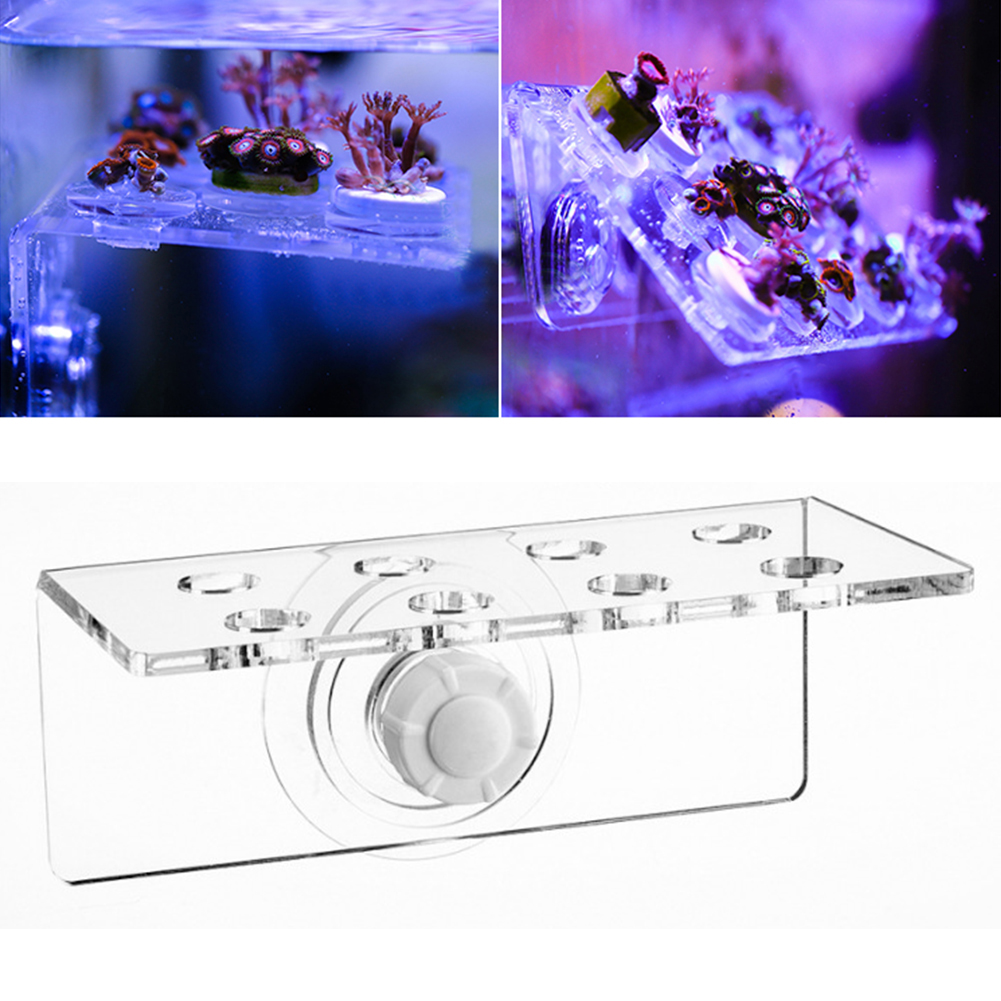 1/3 Lights Fish Tank Fluorescence Coral Frag Rack Bracket Acrylic Aquarium Reef Plugs Holder Mount Water Plant Stand Suction Cup