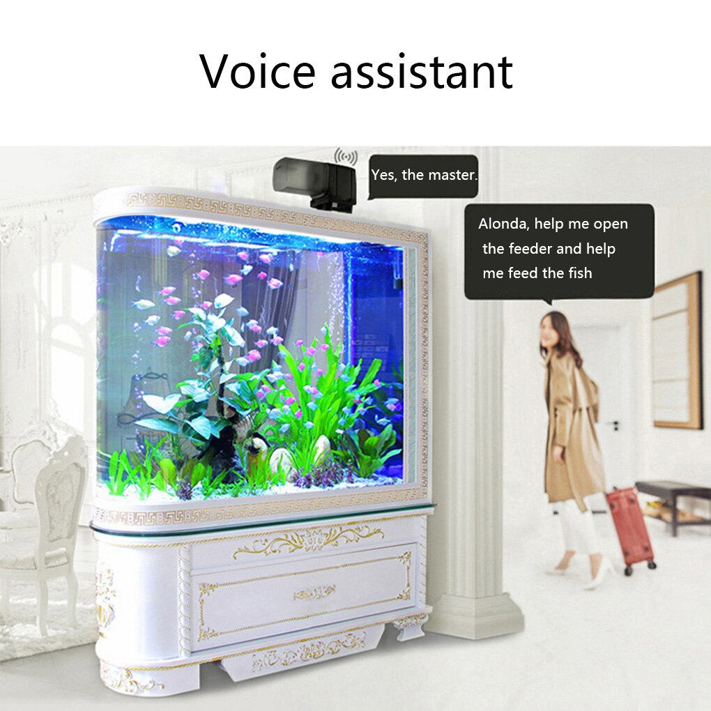 A closer look at Wi Fi Enabled Aquarium For Home With Camera