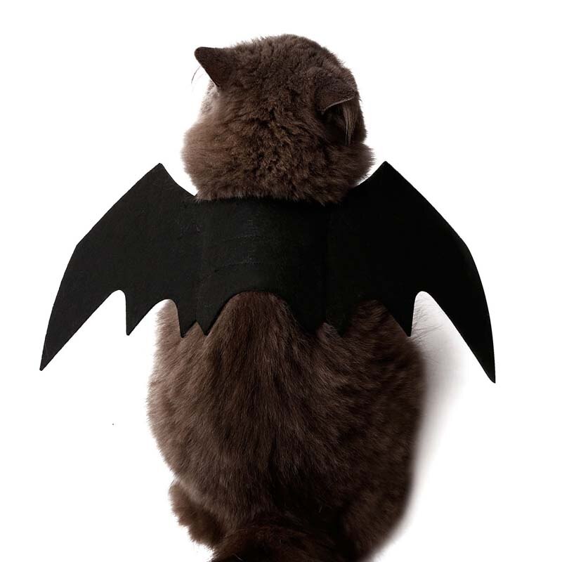 Halloween husdjur hund katt bat vinge kostym valp kattungar svart filt bat vinge för halloween fest maskerad dekor kostym tillbehör