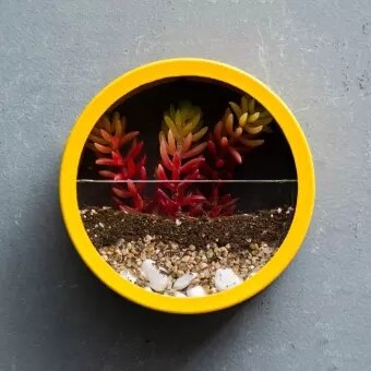 Rund jern væg hængende vase blomsterkurv hængende blomsterkrukke saftig plante vægplanter indretning hjem bonsai dekoration