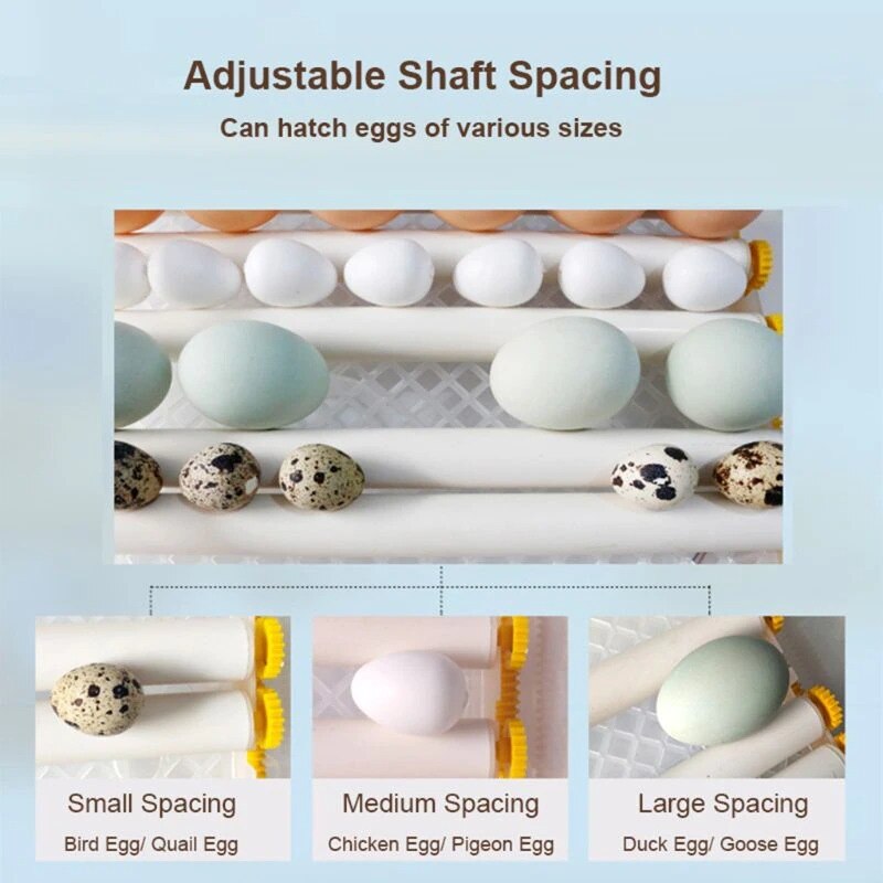 220V Egg Incubator Brooder Bird Incubators Hatchers Chickens Poultry Hatcher Farm Automatic Hatchery Incubation Tools