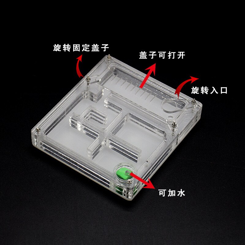 Caja de alimentación acrílica cuadrada para granja de hormigas, caja Ornamental transparente, suministros para insectos, terrario para insectos