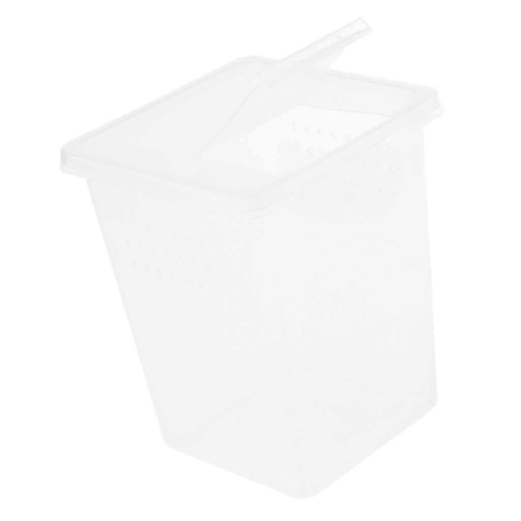 Plastic Insect Turtle Spider Habitat Feeding Box Container 8x8x11cm
