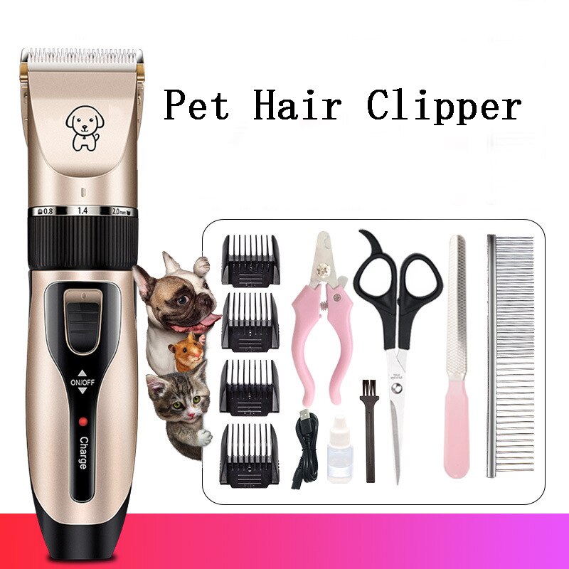 Voted #1 Cat Grooming In Singapore | Best Mobile Cat Grooming