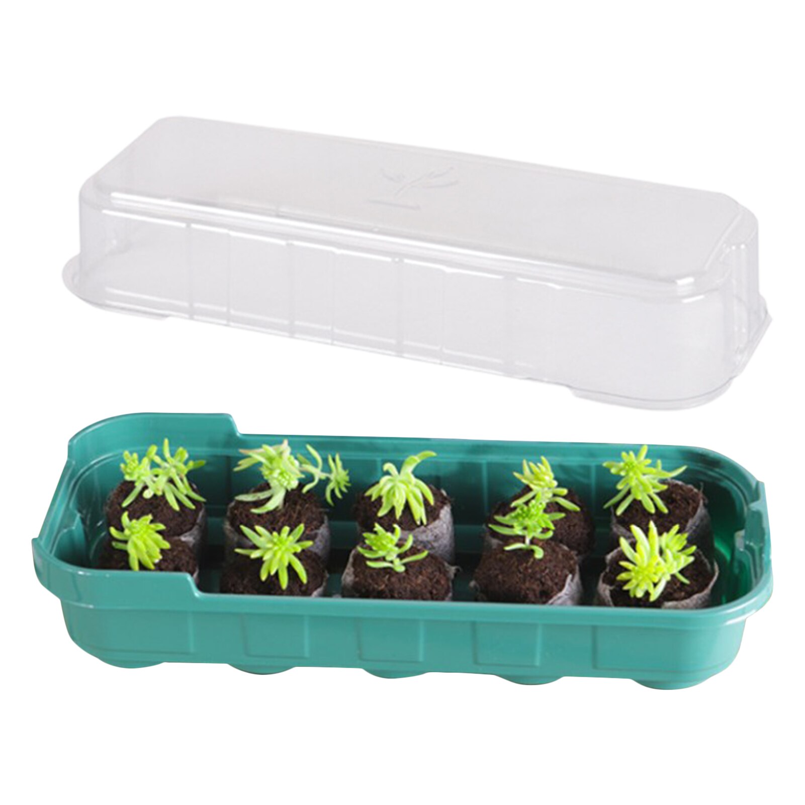 Plateau de démarrage de graines réutilisable 10 cellules, Mini plateau de démarrage de graines d&#39;intérieur en plastique avec rebord de fenêtre en dôme, Kits de serre pour graines: green
