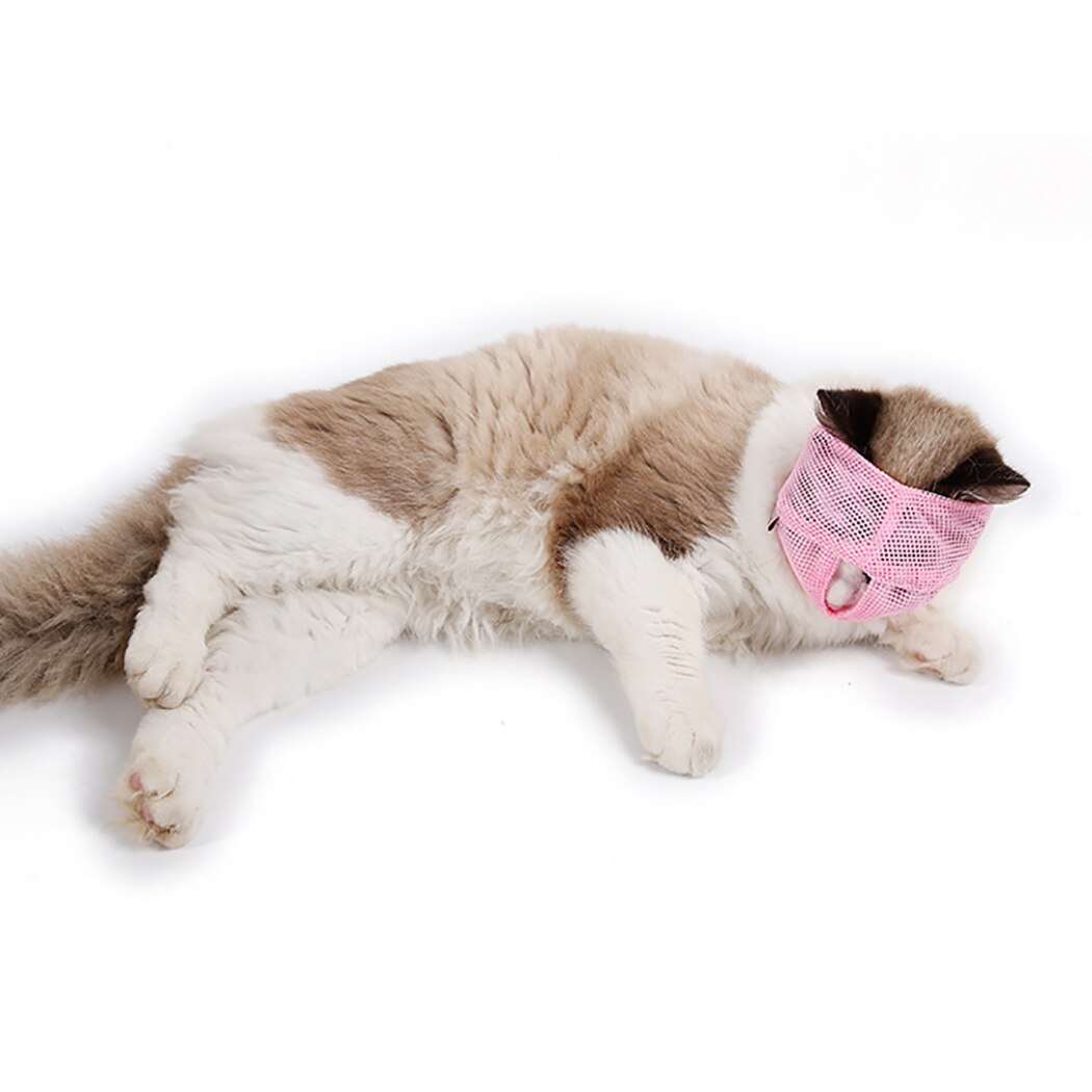 Anti Bite Breathable Cat Muzzle Cat Muzzle Anti-biting Anti Meow Breathable Pet Muzzle Cat Grooming Tool