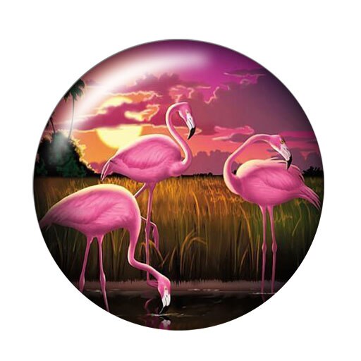 DB0570 Flamingo Vögel trendy 18mm snap tasten 10 stücke mischte runde foto glas cabochon stil für druckknopf schmuck: DB0570-H