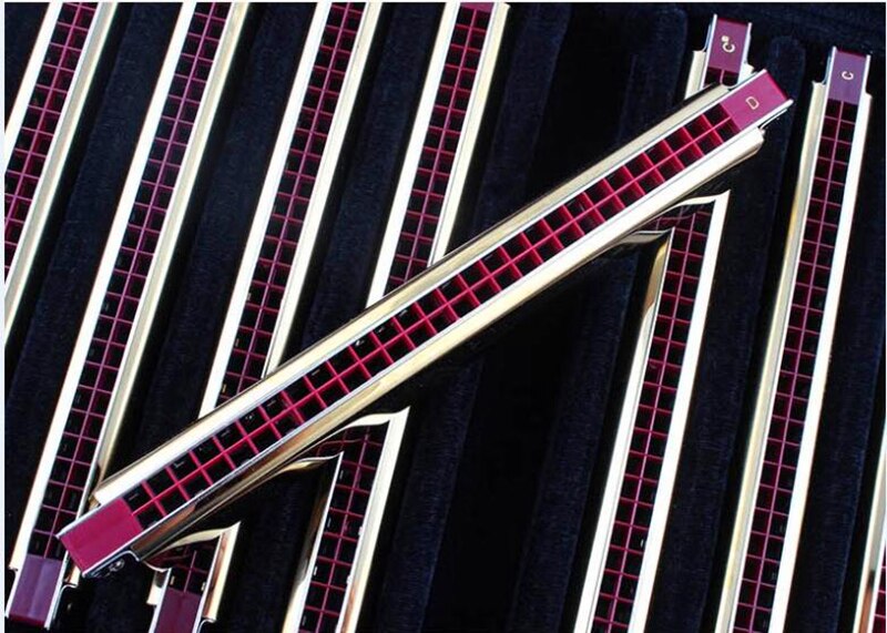 Easttop 28 Gaten Tremolo Harmonica Armonica C 28 Mond Ogan Instrumento Muzikale 28 Hole Harmonica 12 toetsen te Kiezen