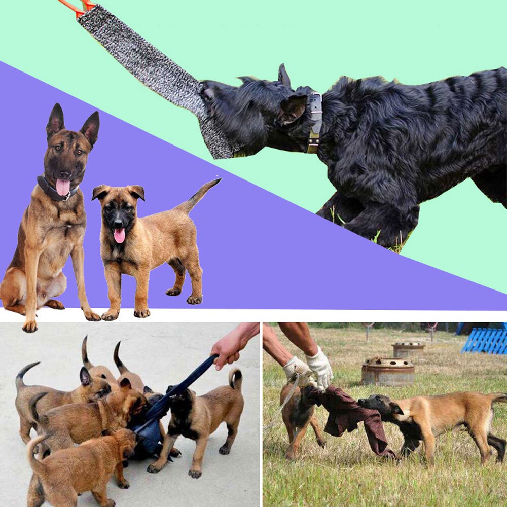 Hundetræning lærred/læderlegetøj holdbart kæledyrsbid tovtrækning interaktivt legetøj til udendørs rejsesport til mellemstor hund