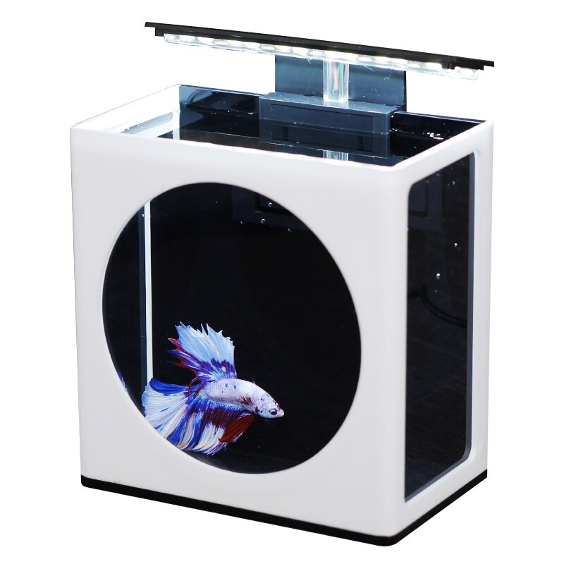 Cute Fighting Fish Tank Simple Display Fish Tank Office Ecological Micro Tank Ornamental Fish Mini Desktop Fish Tank