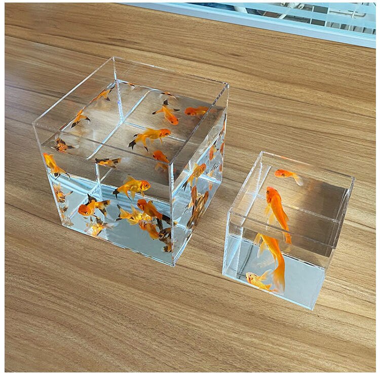 Réservoir de poissons séparé pour petits poissons Betta, Aquarium ouvert en acrylique Transparent pour plantes d&#39;eau, réservoir à tortue