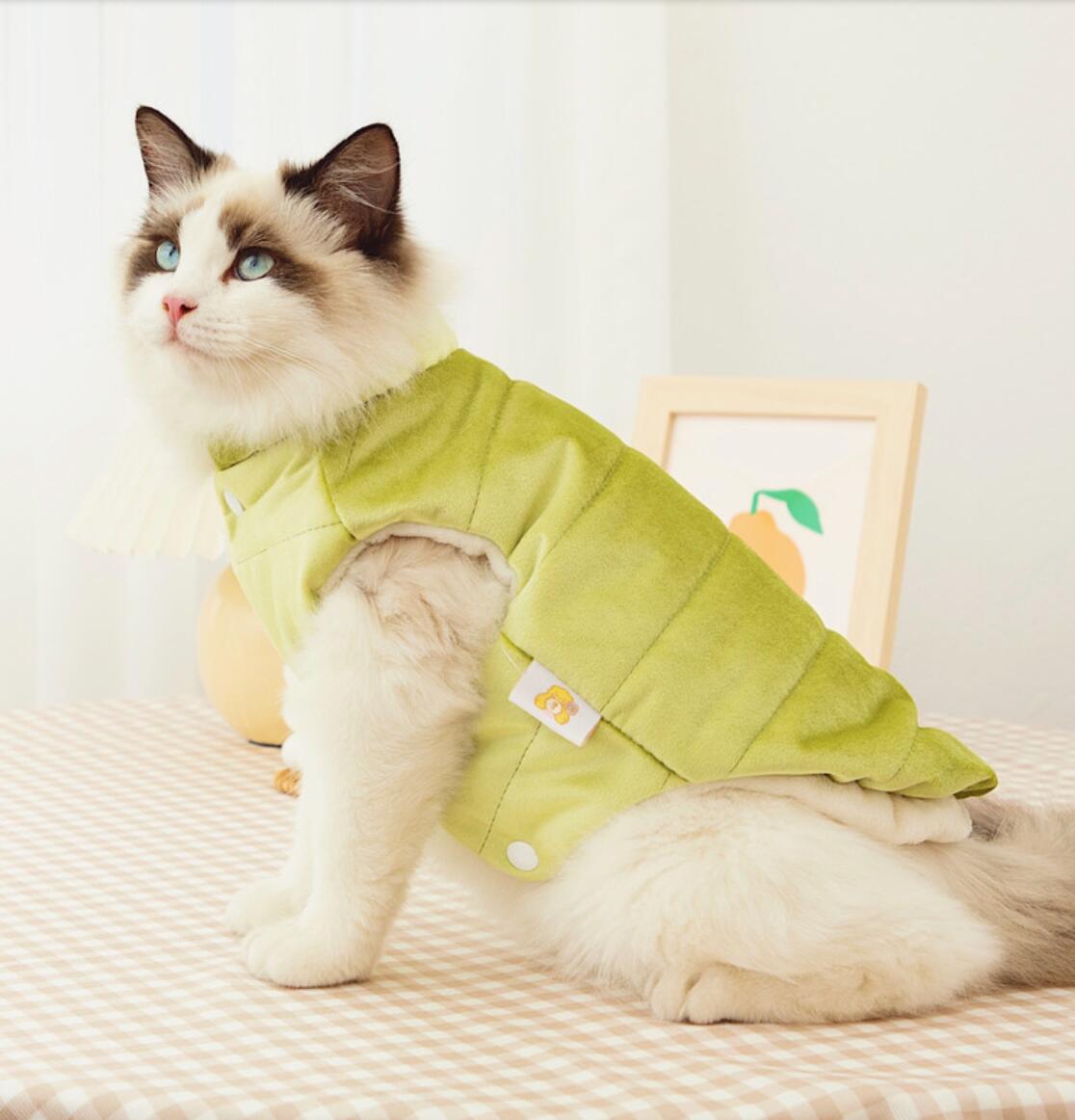 Cappotto per gatti