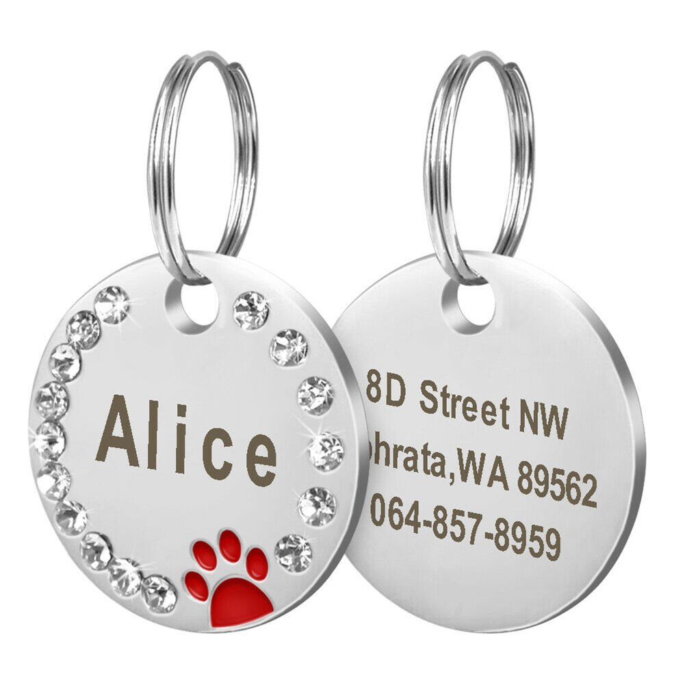 Placa de identificación de perro en blanco DIY, 25mm, accesorios para Collar de perro mascota, identificación de gato, etiqueta de identificación de acero inoxidable, etiquetas de nombre de pata de hueso antipérdida: Rojo