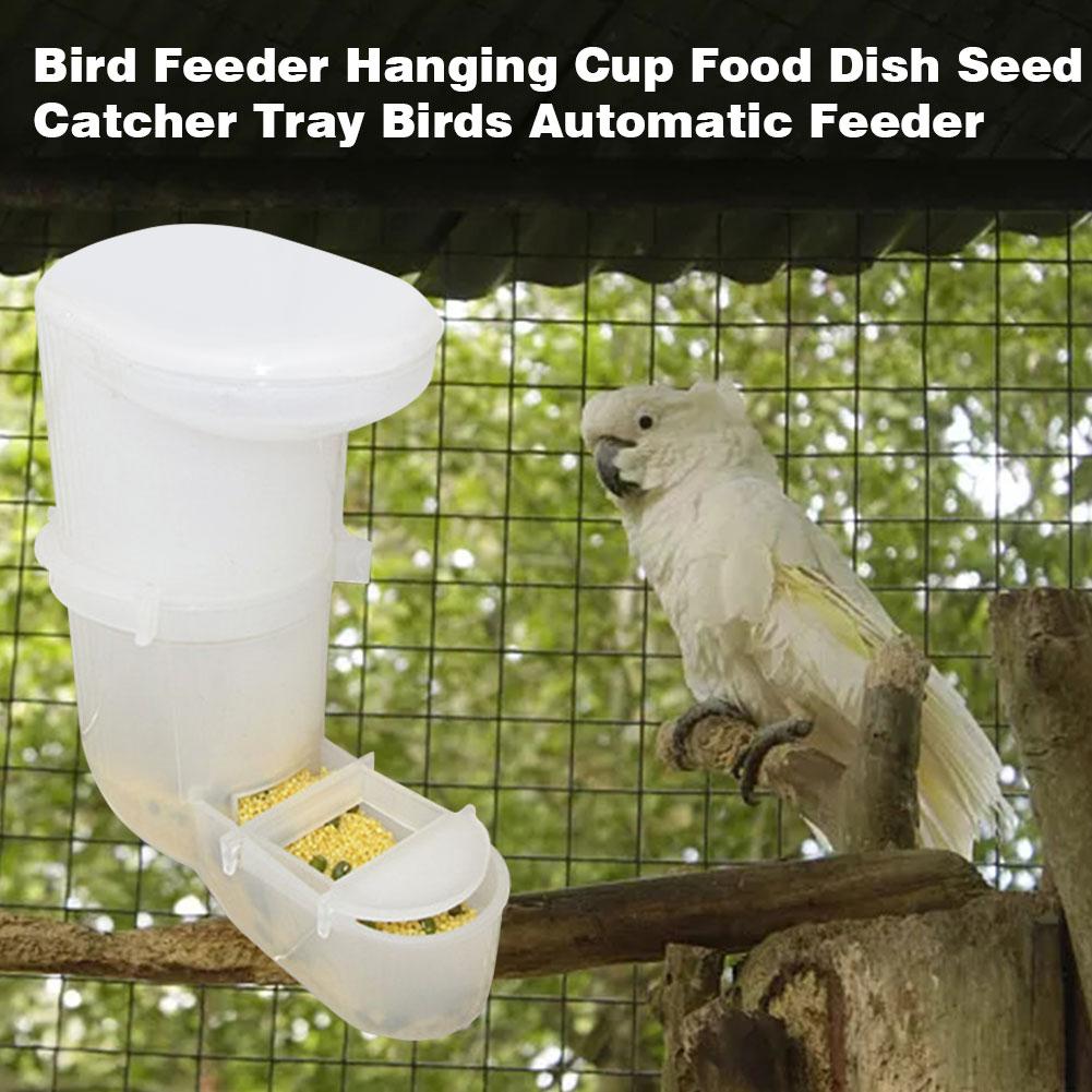 Beautiful view of Bird Cages With Multiple Food Dishes