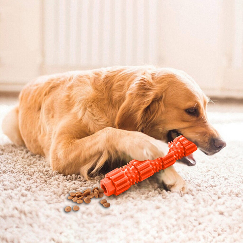 Hond Molaire Stok Huisdier Interactieve Training Hond Speelgoed Gebitsreiniging Grote Hond Speelgoed Voor Golden Retriever Honden Funny Speelgoed