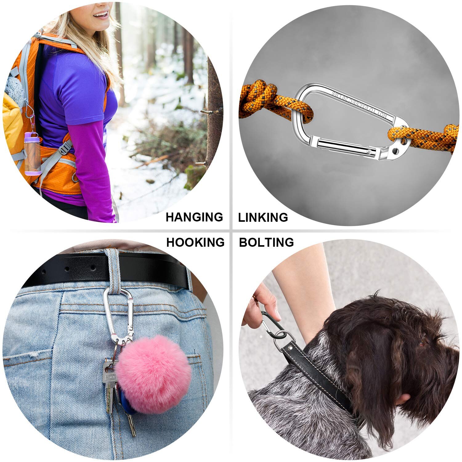 F Aventik 6 couleurs en aluminium d-forme mousqueton pince boucle 6cm avec 3 porte-clés 1 étiquette nominative Multi usage pour randonnée porte-clés