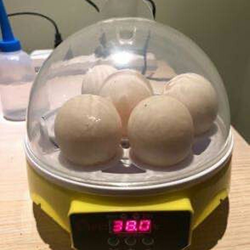 HHD 7 Eggs Incubator Machine 110V/220V Automatic Digital Mini Egg Incubator Adjustable Temperature Hatchery Brooder for Chickens