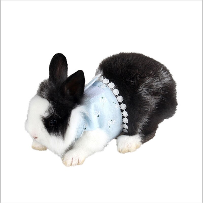 Kleine Huisdier Konijn Harnas Vest En Riem Set Voor Fret Cavia Bunny Hamster Puppy Borstband Harnas Dierbenodigdheden