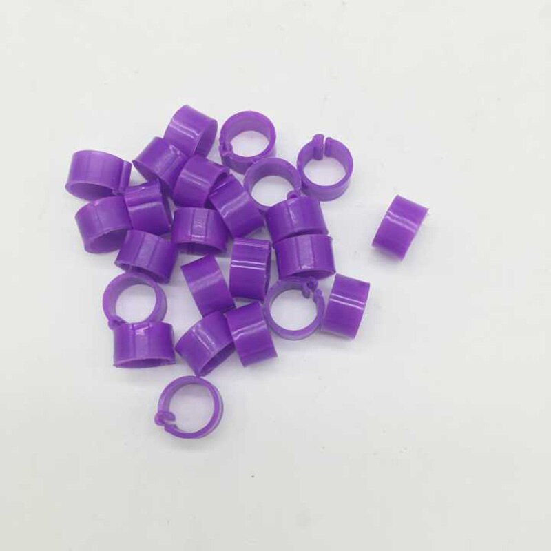 100 Stks Duiven Ringen 8mm Bajonet Identificatie Ring Opening Duif Ring Kleur Duif Voetring Duif Levert Vogel Apparaten: purple