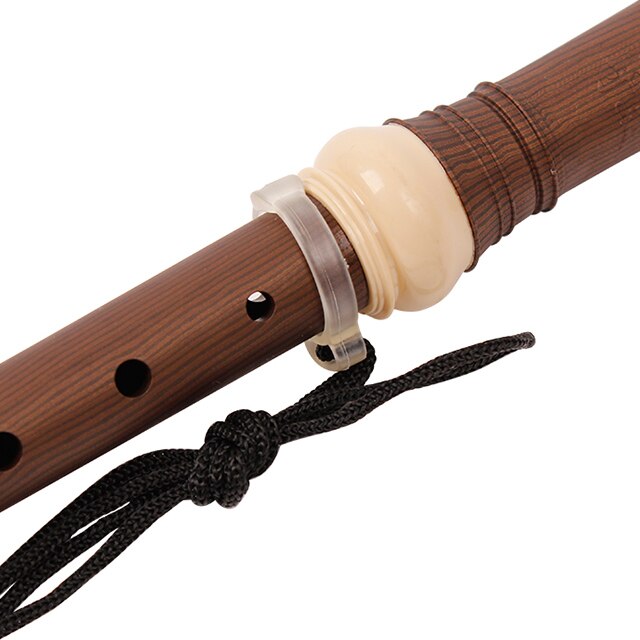 ABS Soprano Recorder Instrument 8 Hole Wood Painting