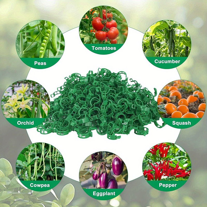 600/10x Plant Support Clips Climbing Plants Fixing Clips Grape and Vine Vegetables Buckle Prevent Tomatoes From Falling Off