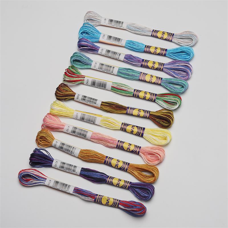 4th Variegated Cotton Embroidery Floss 6 strands 8 meters per skein Color Variation Cross stitch Thread 30 DMC Colors: Garden Flower