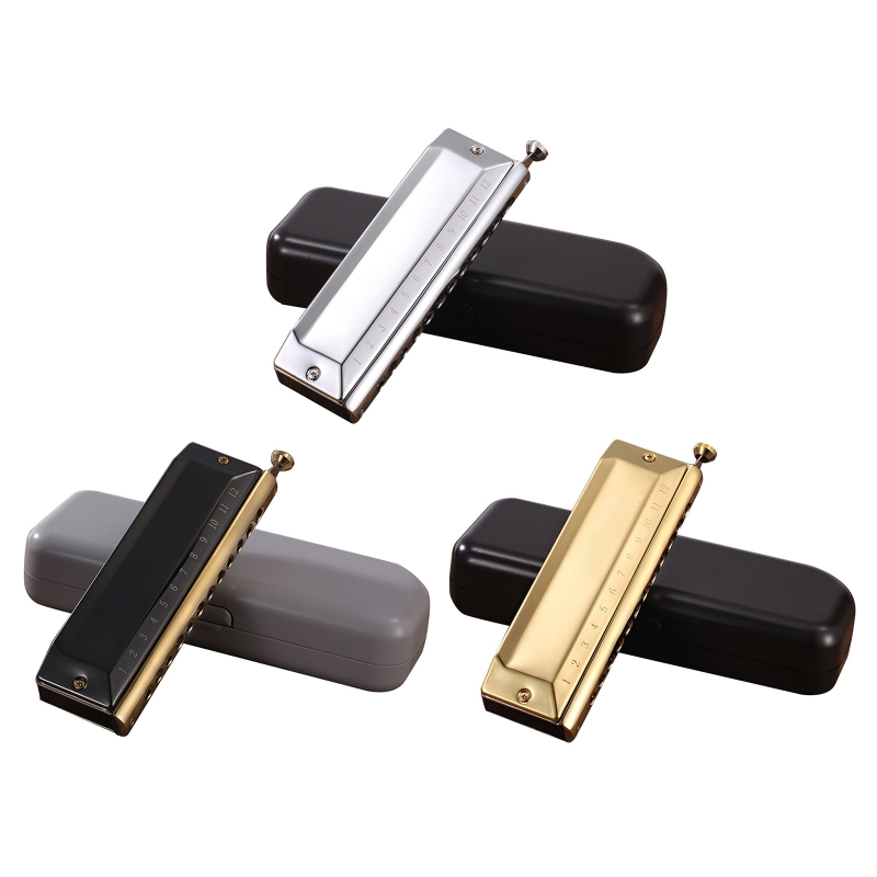 Harpe Harmonica à 12 trous, 48 tons, diatonique, Key C, bleu, Jazz, orgue buccale, éducation précoce, entraînement au sens de la musique