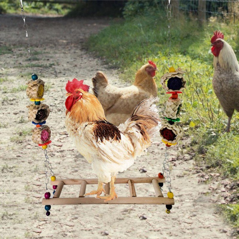 Chicken Ladder Swing Medium And Large Parrot Perch Wood Pet Toys For Hens Handmade Chicken Coop