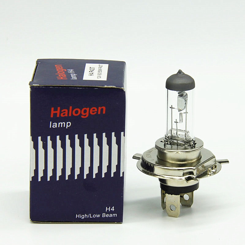 10Pcs H4 Halogeenlamp 12V 60/55W Super Wit 2 Pcs Glas Roestvrij Staal Base Auto lamp