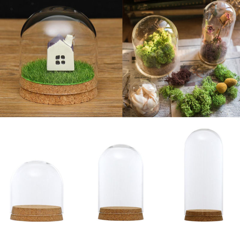 Glas Kuppel Cloche Abdeckung Holz Kork Basis Microlandscape Halfter Glocke Krug Für DIY Blume Pflanzen Vase Tisch Ornamente Hause Dekoration