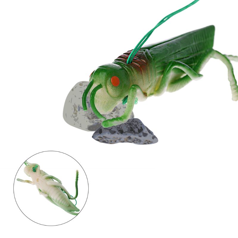 1 Pc Halloween Insekten Heuschrecke Modell Figuren freundlicher freundlicher Entwicklungs Wissenschaft Spielzeug Neue Heiße