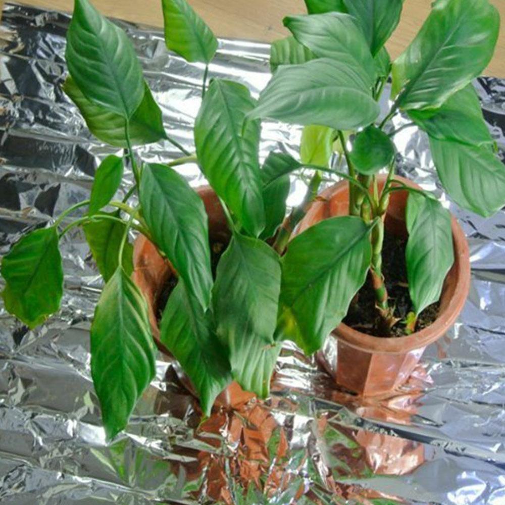 210*155cm Garden Wall Mylar Film Covering Sheet Hydroponic Reflective Highly Q2E0