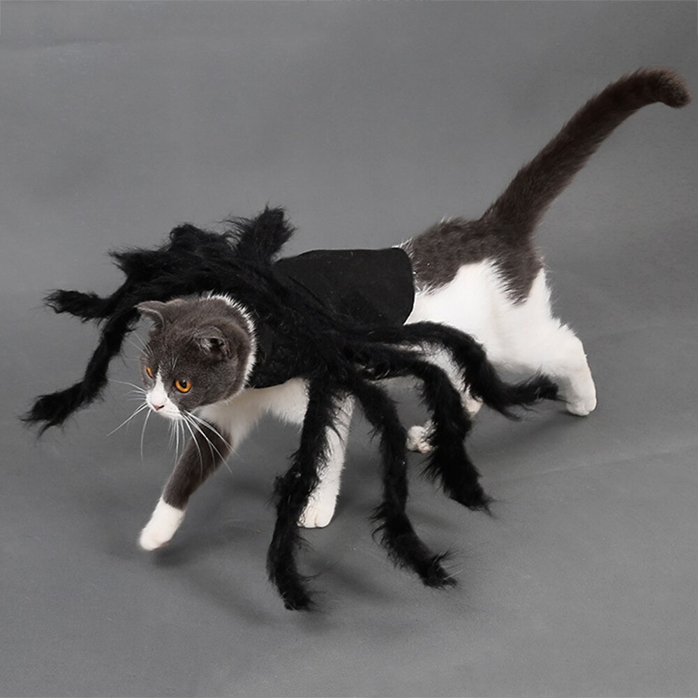 Neue Halloween Haustier Spinne Kleidung Simulation Schwarz Spinne Welpen Cosplay Kostüm Für Hunde Katzen Party Cosplay Lustige Katze Outfit