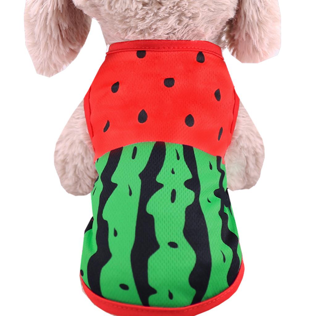 Ropa barata para perros pequeños, Estilos de dibujos animados de verano de primavera para mascotas, camiseta para perros y gatos, camisetas con bonito chaleco transpirable para mascotas Yorkshire K20: Red / L