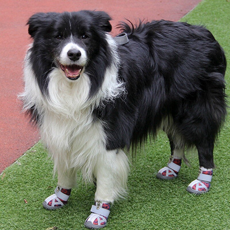 4 pièces/ensemble chaussures pour animaux de compagnie respirant fond souple antidérapant réfléchissant respirant maille chien bottes pour chat petits chiens toutes les saisons