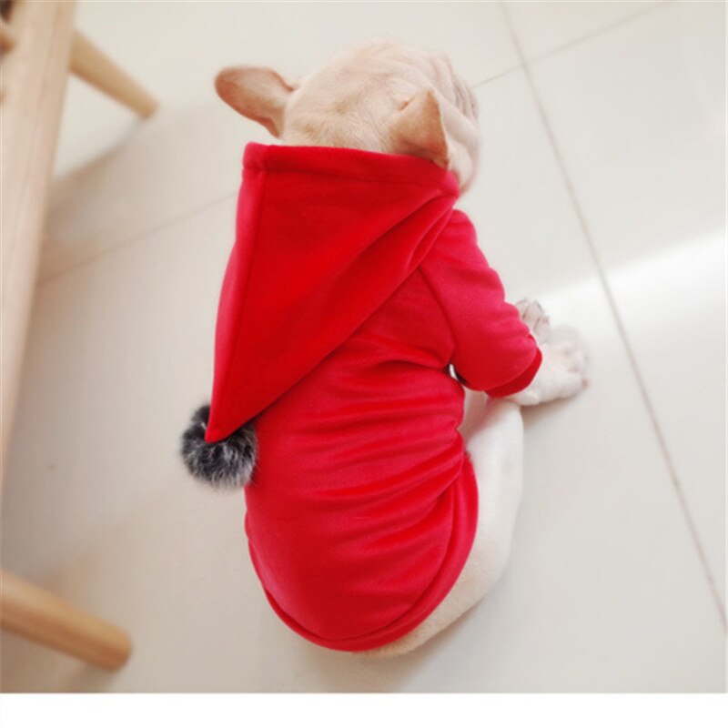 Vêtements d'hiver pour chiens carlin | Vêtements d'hiver français, vêtements à capuche, vêtement pour animaux de compagnie, vêtement pomerien, Schnauzer, Corgi manteau pour chiens: S