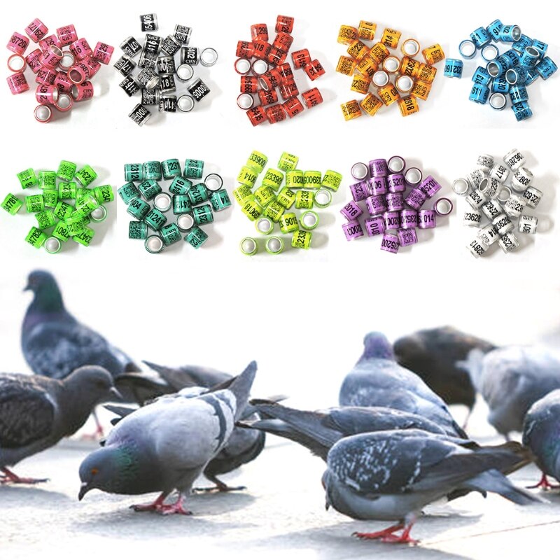 100 stk farverig farve blandende duerbånd fuglefodring arter identificerer træningsringe kæledyrsmærke til kyllinger kæledyr