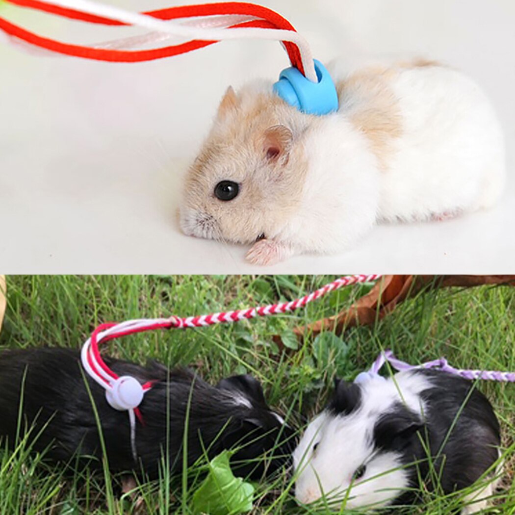 2 stuks konijnen-hamster harnas riemen hamsterriem harnas touw gerbil katoenen touw harnas lijn buiten verstelbaar dierenbenodigdheden
